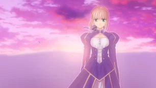 Fate/stay night: Oneself as an Ideal